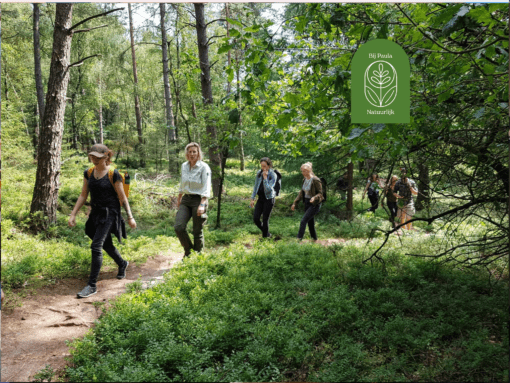 Stichting Brabant Maatjes - Mindful Wandelen in het Mastbos met Bij Paula Natuurlijk | Breda