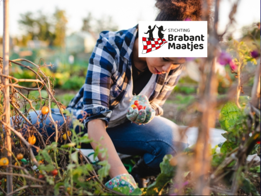 Stichting Brabant Maatjes - Bloemschikken incl. Bloemstuk voor thuis met FlowerWise | Tilburg