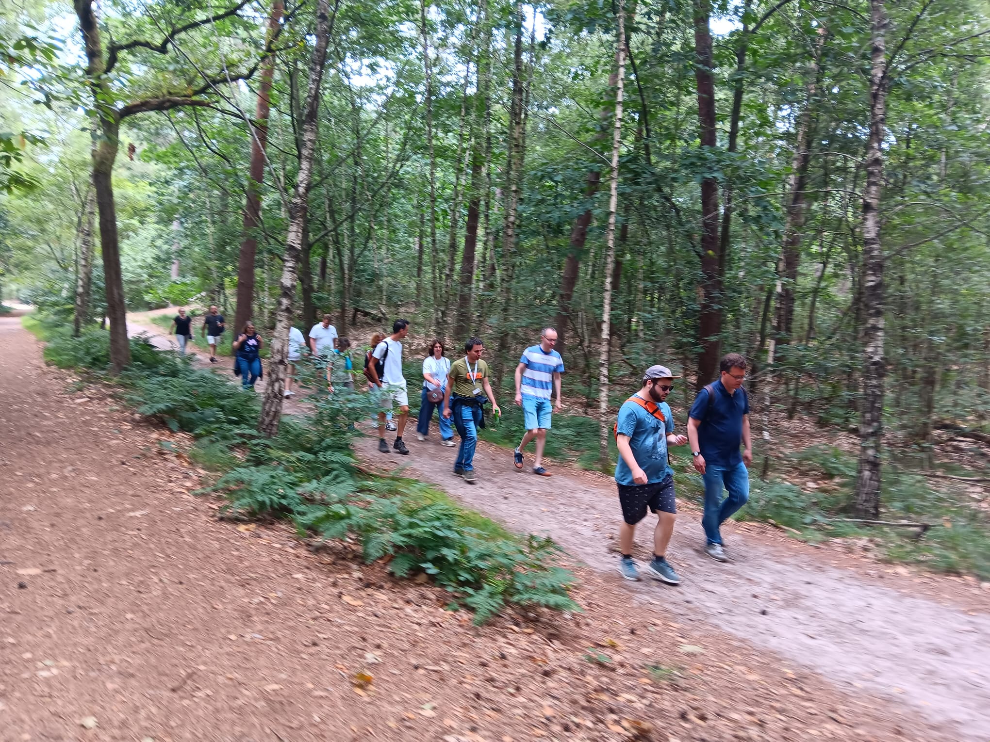 Stichting Brabant Maatjes - Mooiwerk Breda Zomer wandeling Mastbos 1