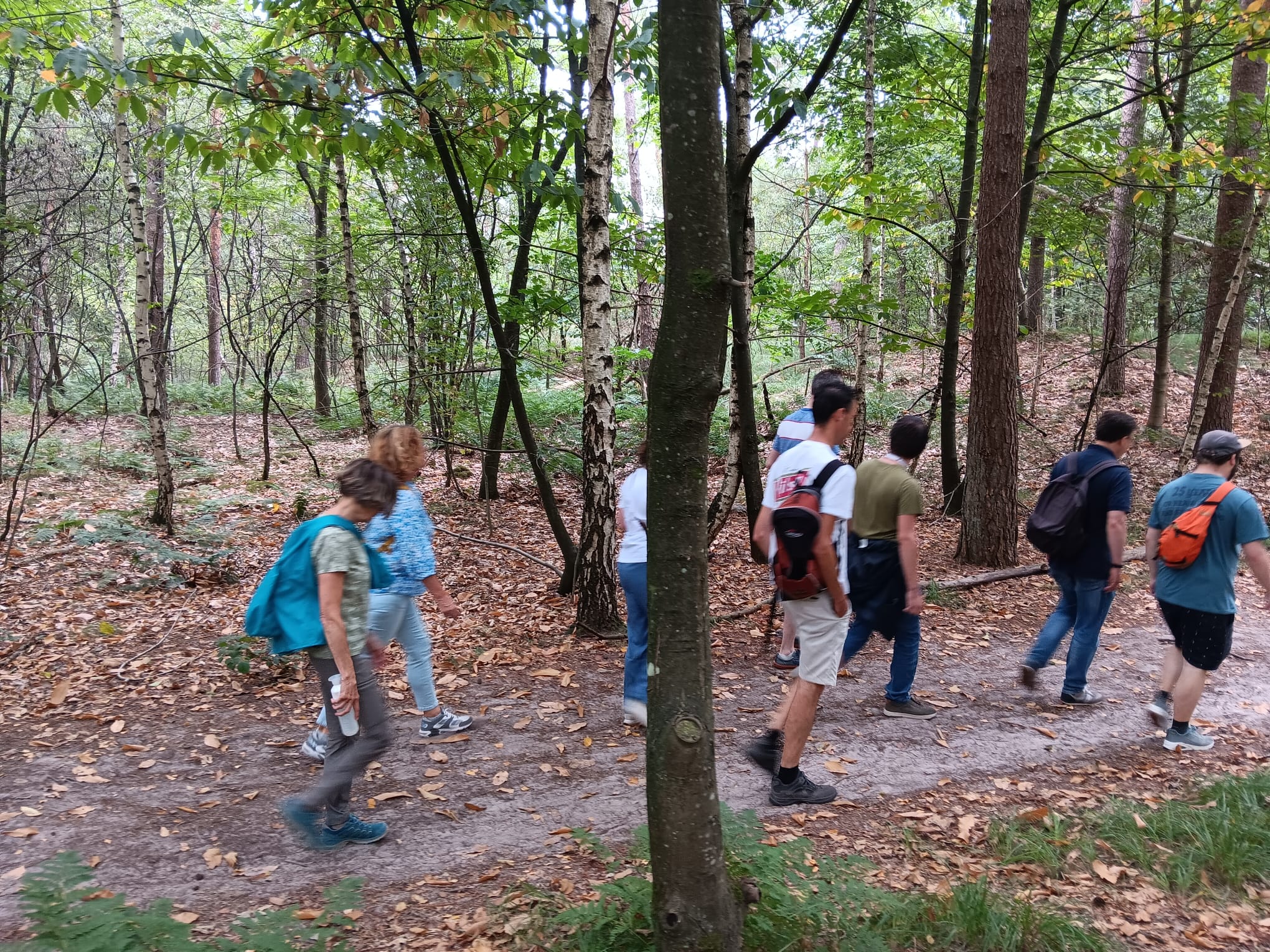 Brabant Maatjes Breda